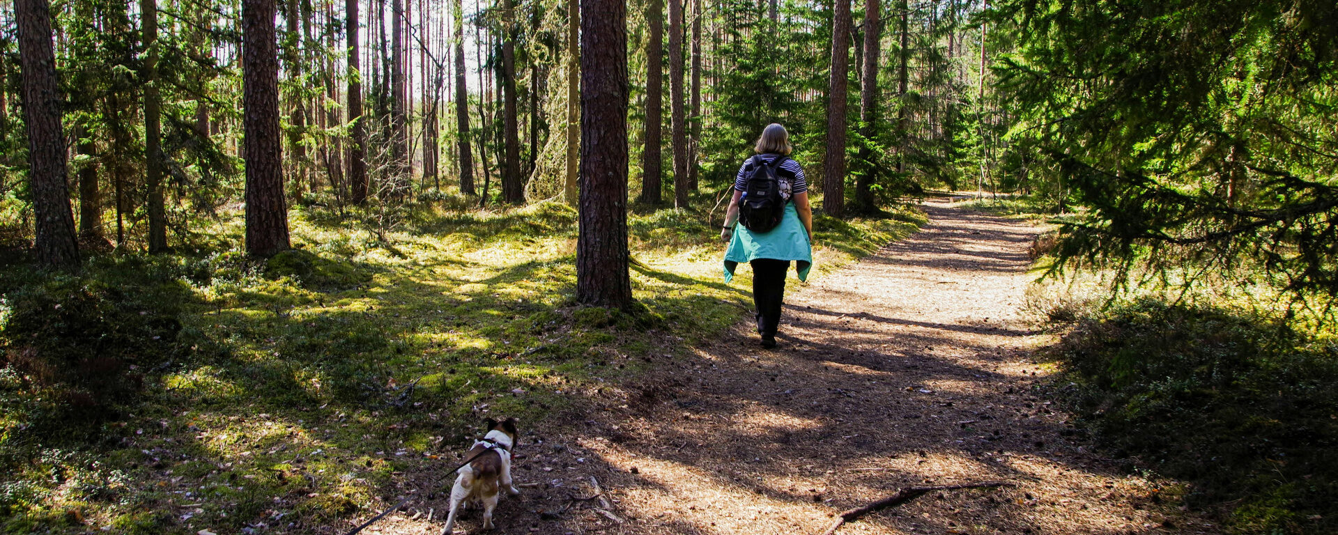spaziergaenger-mit-hund-im-wald
