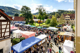 Ein lebhafter Freiluftmarkt mit verschiedenfarbigen Zelten zieht Touristen in eine unterhaltsame Stadtkulisse von Böblingen.