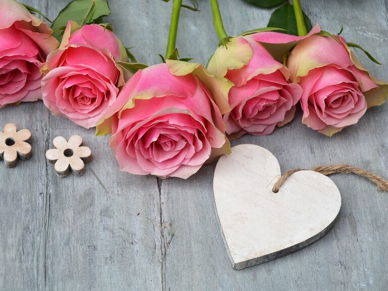 Mehrere hübsche rosa Rosen neben einem Herz aus Holz.