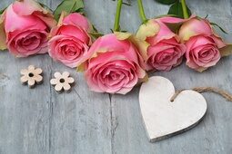 Mehrere hübsche rosa Rosen neben einem Herz aus Holz.