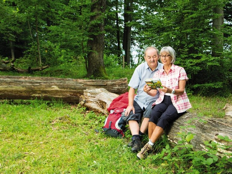 Zwei Personen sitzen entspannt auf einem Baumstamm und lesen eine Wanderkarte im sommerlichen Wald nahe Sindelfingen.